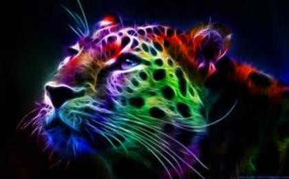 images (11)