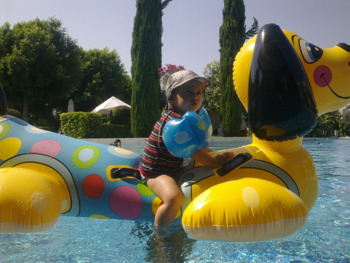 Andrei càlare pe càtel