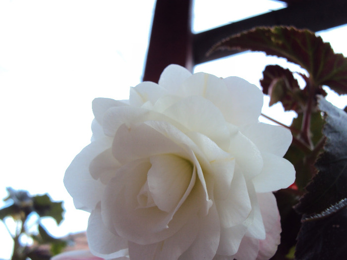 DSC03055
