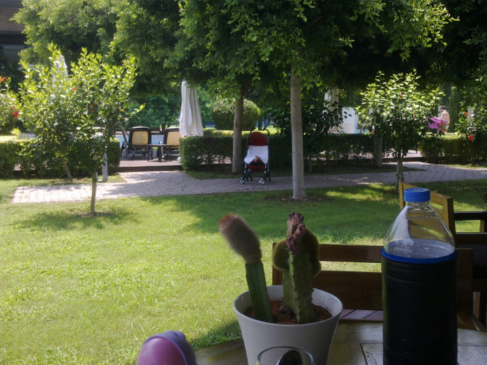 dorm la umbrà linistit