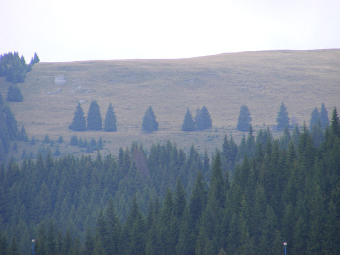 DSCF0206 - Peisaje de munte