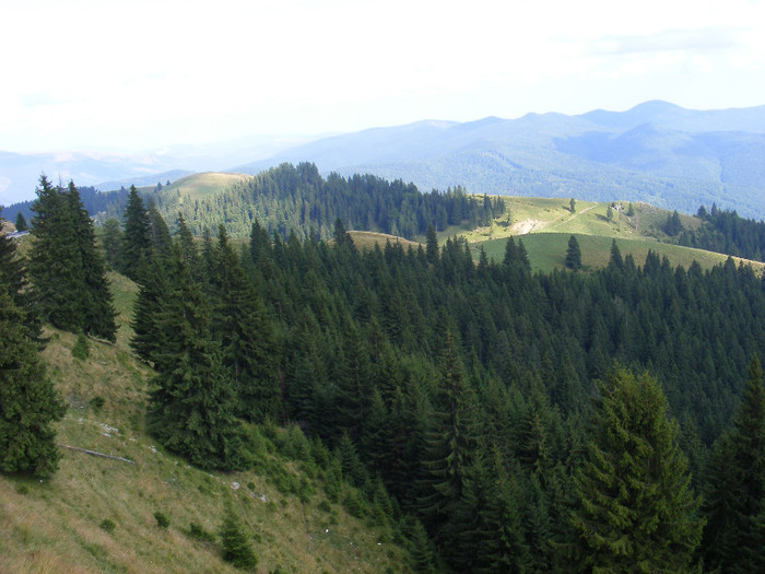 DSCF0218 - Peisaje de munte