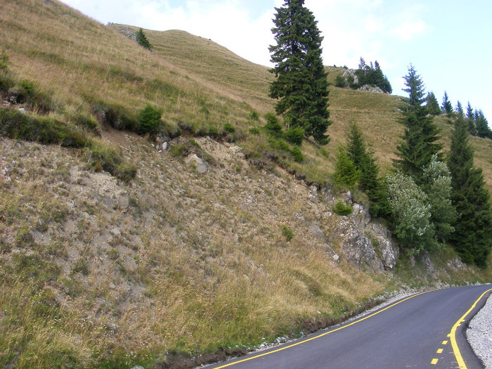 DSCF0220 - Peisaje de munte