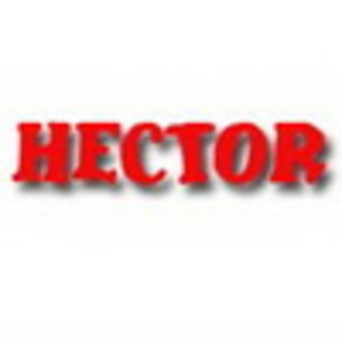 Hector Avatar_ Avatare cu Nume