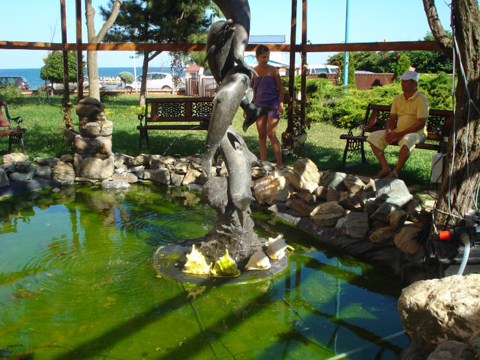 DSC01539 - MANGALIA-2011