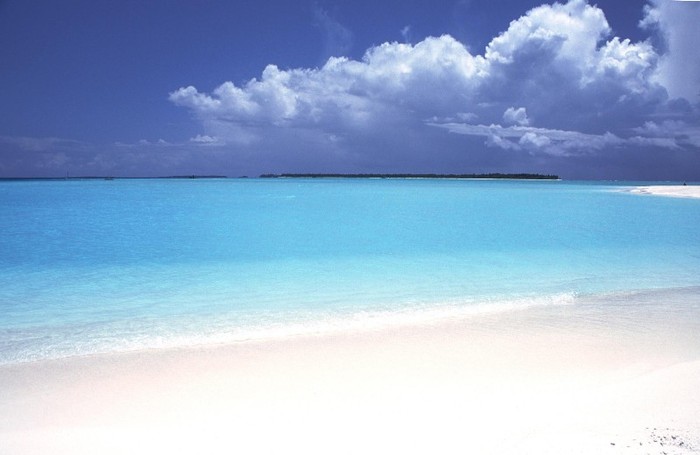 maldives-beach - Ceva de vis
