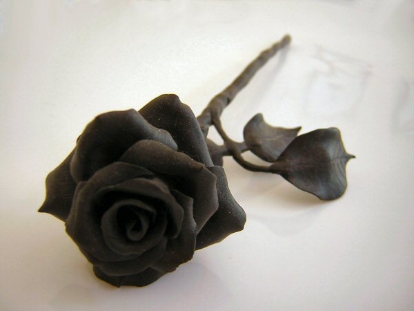 Black-Rose-Flower-Wallapaper-1