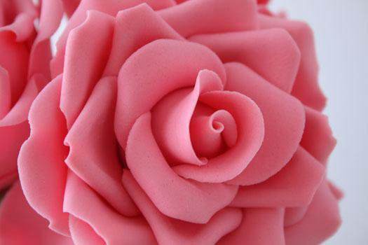 Pink-Rose-Flower-Wallpaper-4 - pink rose