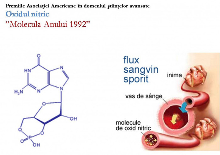 Argi1-1024x724