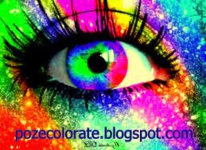 images (39) - colorfull