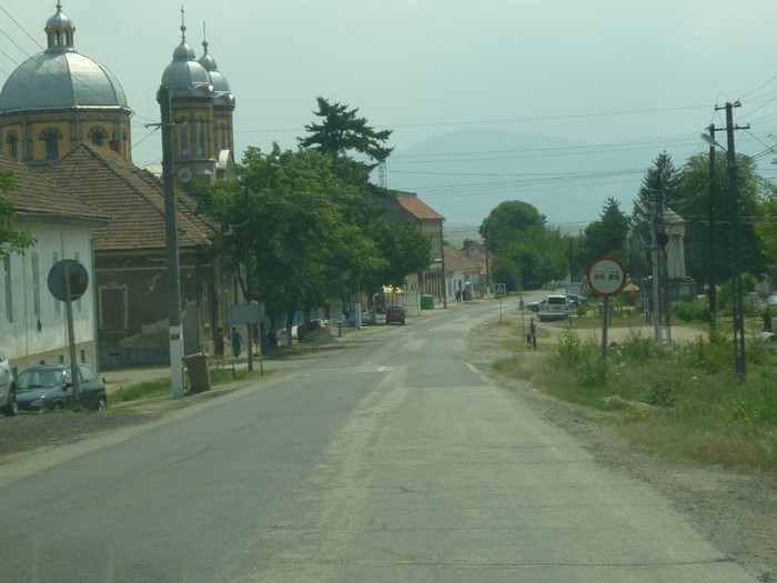 P1030790 - 2011 Markovac leto