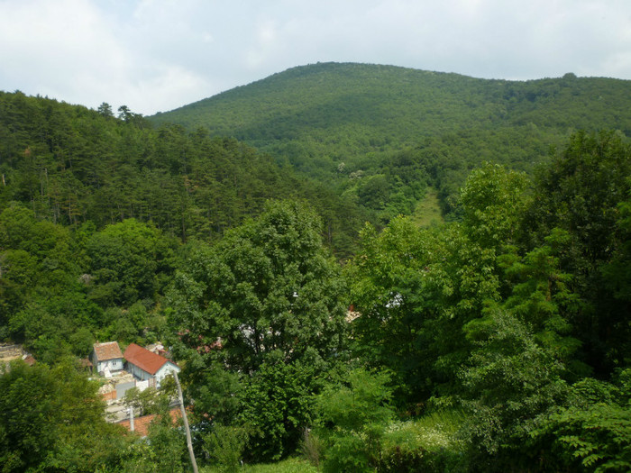 P1030793 - 2011 Markovac leto