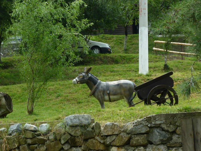 P1030794 - 2011 Markovac leto