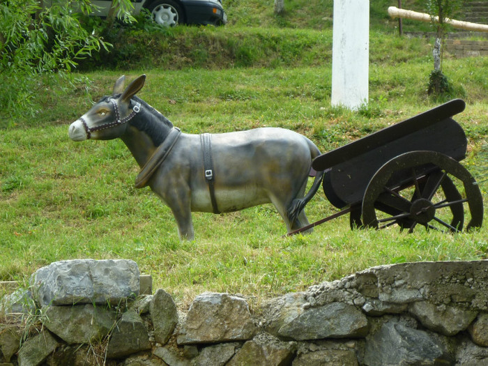 P1030795 - 2011 Markovac leto