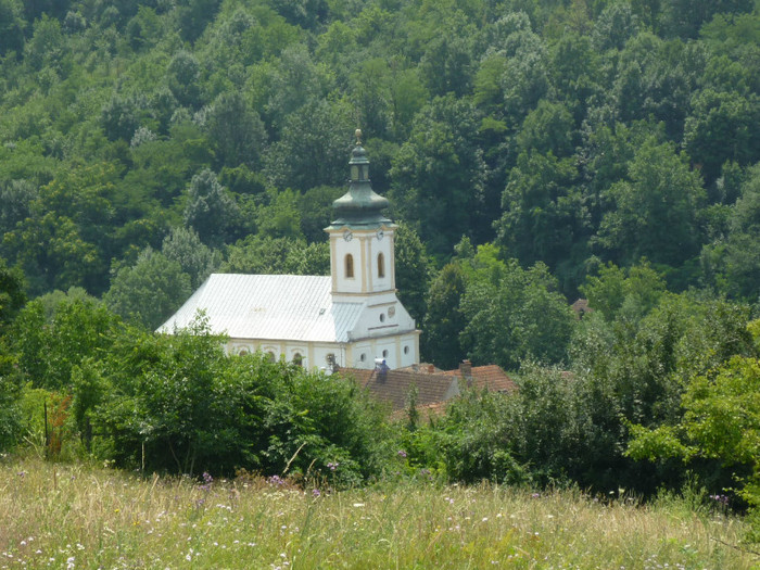 P1030796 - 2011 Markovac leto