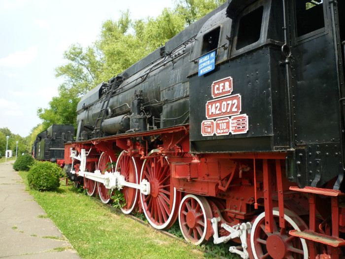 P1030821 - 2011 Markovac leto