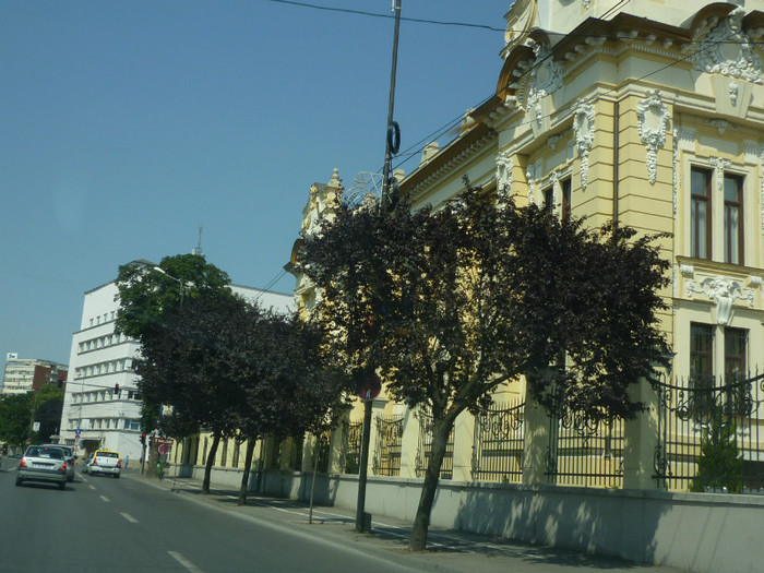 P1030832 - 2011 Markovac leto