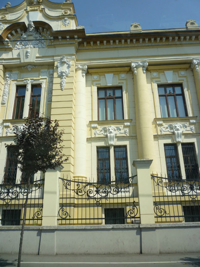 P1030833 - 2011 Markovac leto