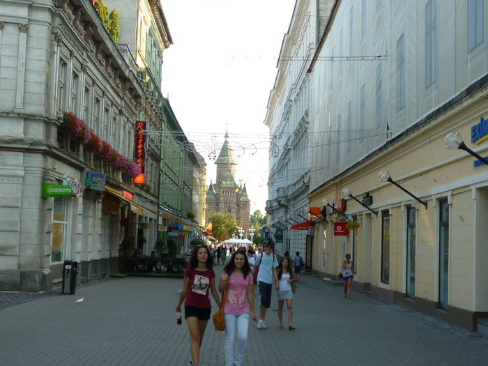 P1030846 - 2011 Markovac leto