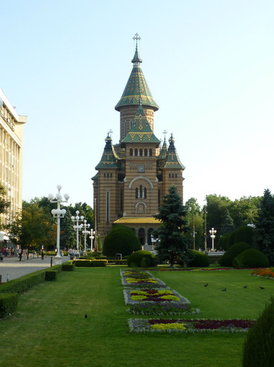 P1030849 - 2011 Markovac leto