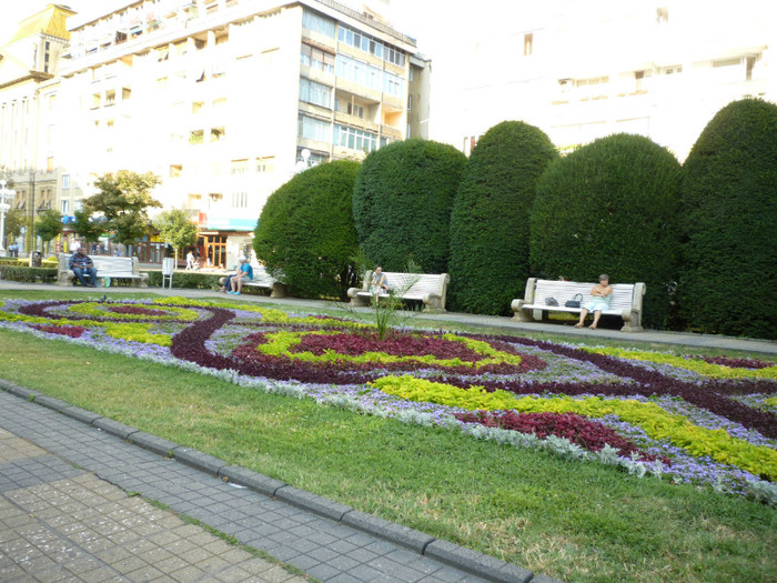 P1030857 - 2011 Markovac leto