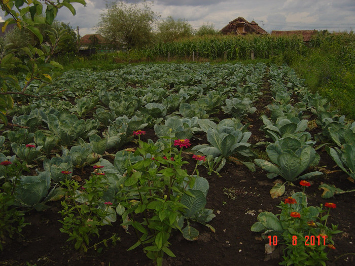 poze 057