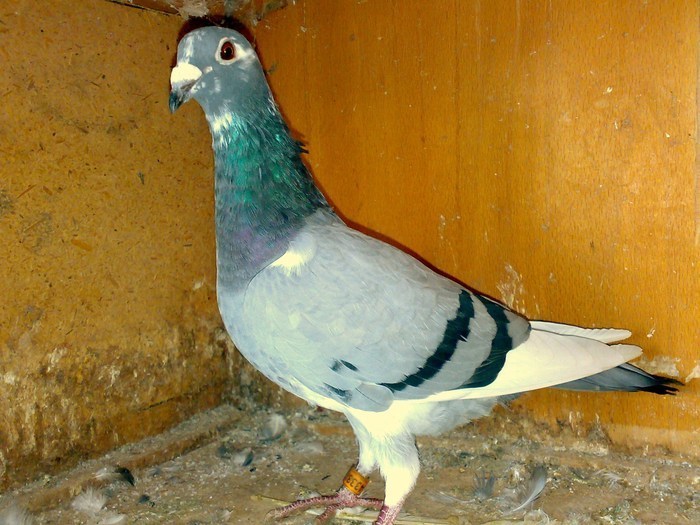 89