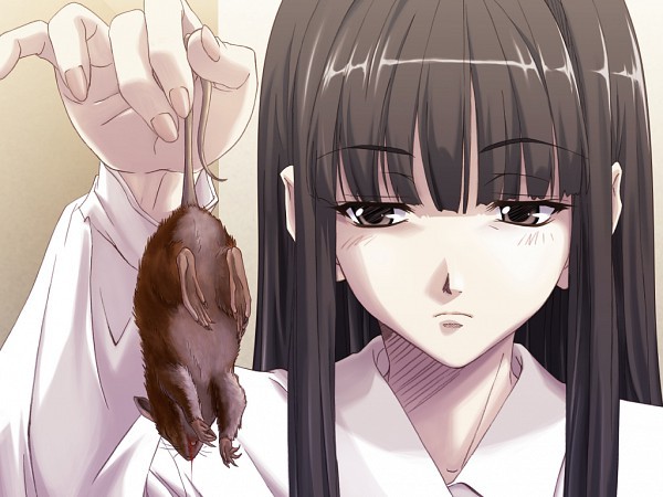 679358 - Poze anime