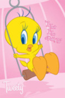 13706958_IRDUIXBSW - tweety