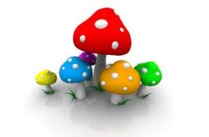 images (15) - poze colorate