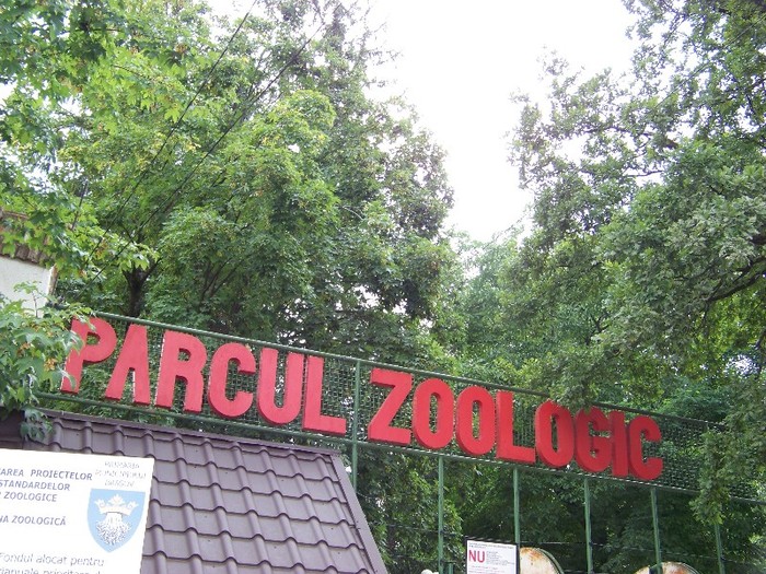 100_2519 - Zoo Brasov