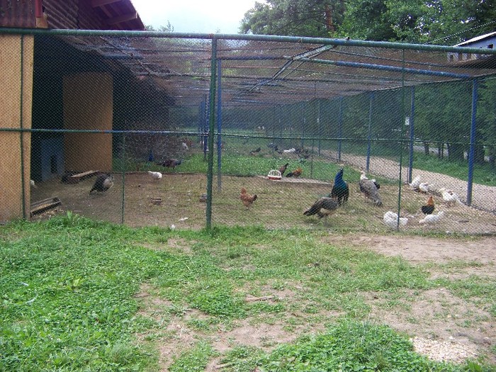 100_2641 - Zoo Brasov