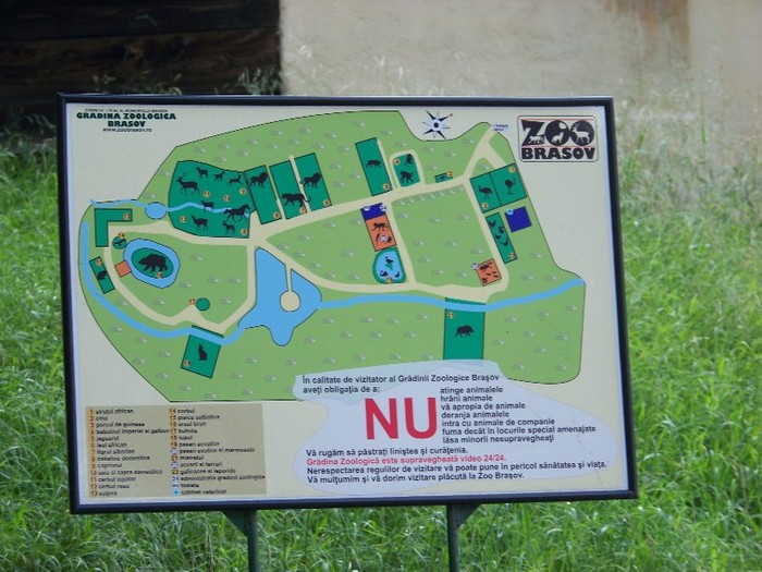 100_2721 - Zoo Brasov