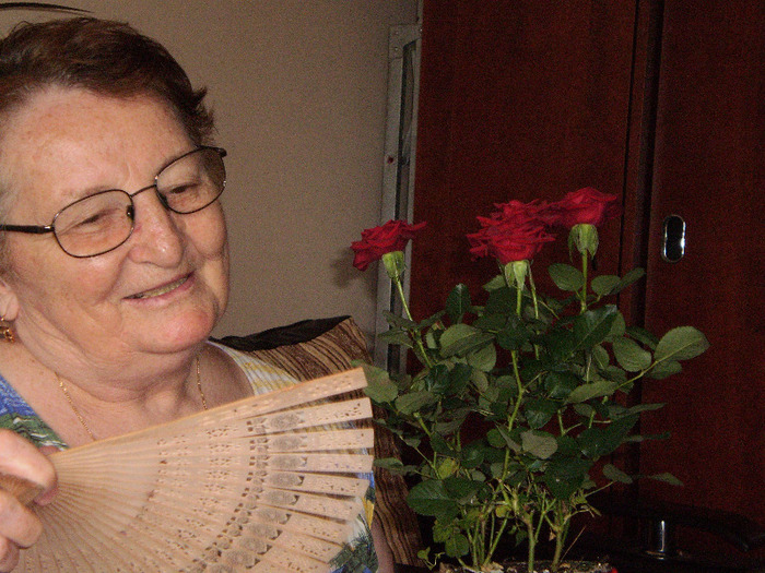 Trandafir de la MIHAELA