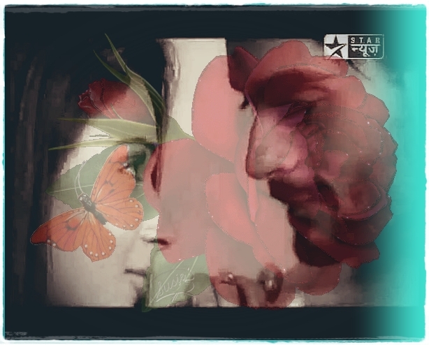 215927_158742264186230_100001513711537_359455_5229978_n