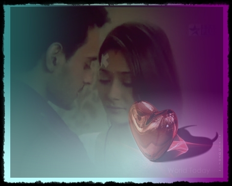 254593_109656445792632_109299789161631_101117_432219_n