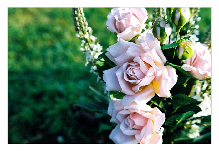 Se duce in camera la el siii...BUUUUUUM