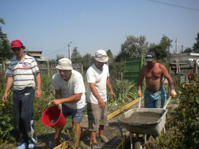 DSCN1573 - Gradina 2011 -2013 transformare