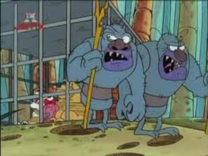 Dosarele secrete ale cainilor detectivi