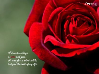 love-wallpaper3