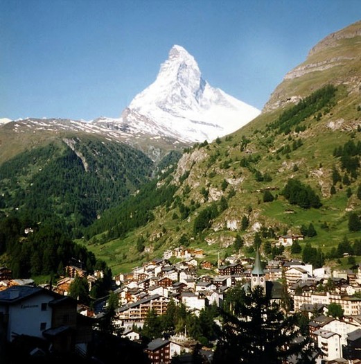 Zermatt_and_Matterhorn - POZE flori