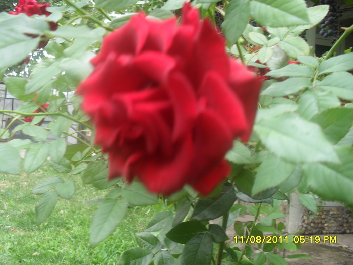 SAM_3039