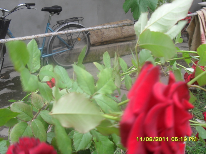 SAM_3038