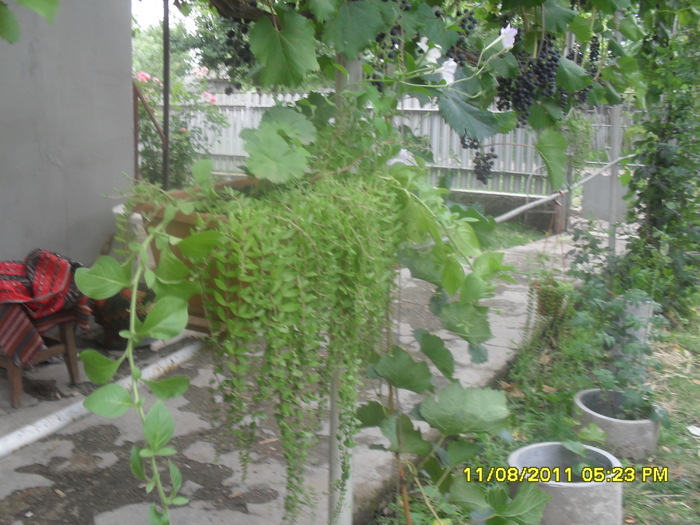 SAM_3049