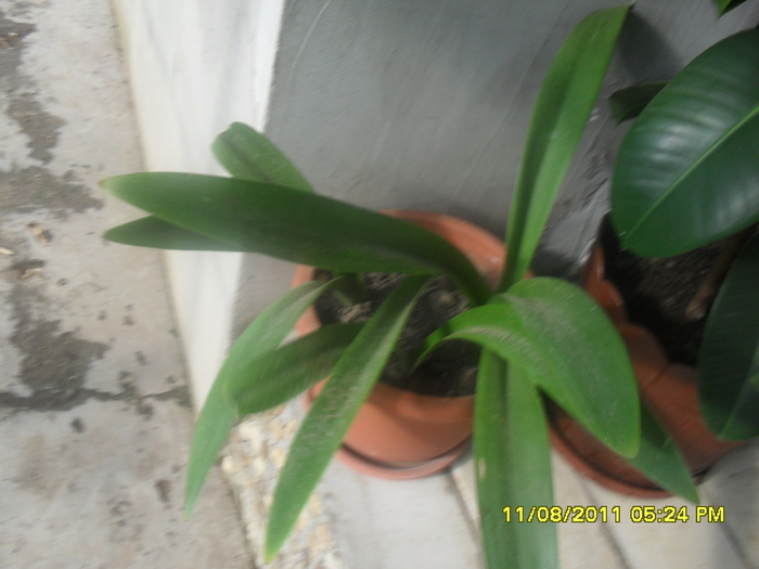 SAM_3053