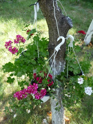 23 iulie 2011