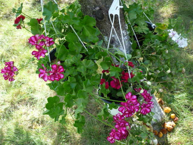 23 iulie 2011