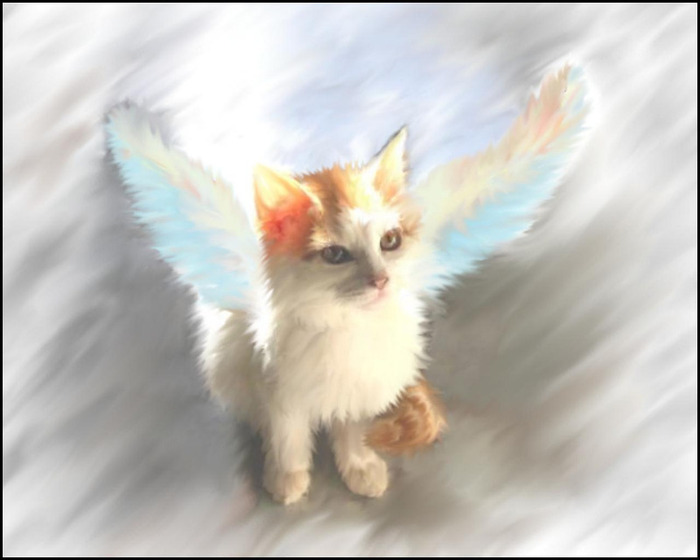 kitty_angel_painting - Ingerasi