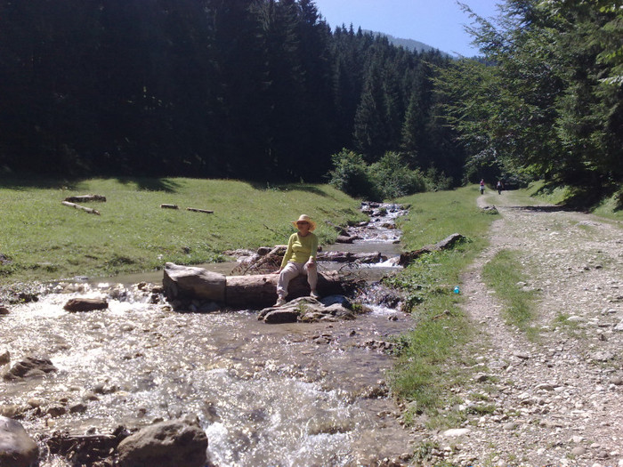 dorina spre 7 scàri