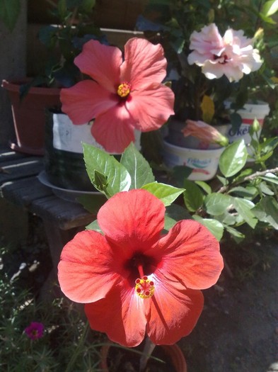 09
